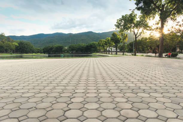 Best Driveway Paving Contractor  in Atkins, AR